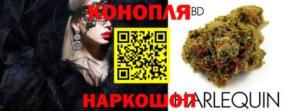индика Тула