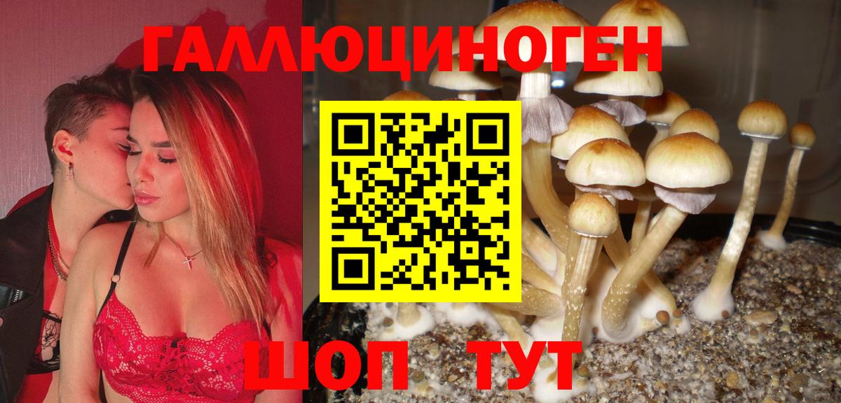Псилоцибиновые грибы Cubensis  Галлюциногенные грибы прущие грибы  Вход с VPN  Батайск 